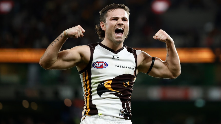 AFL backs controversial decision to disallow Hawks' goal against Saints