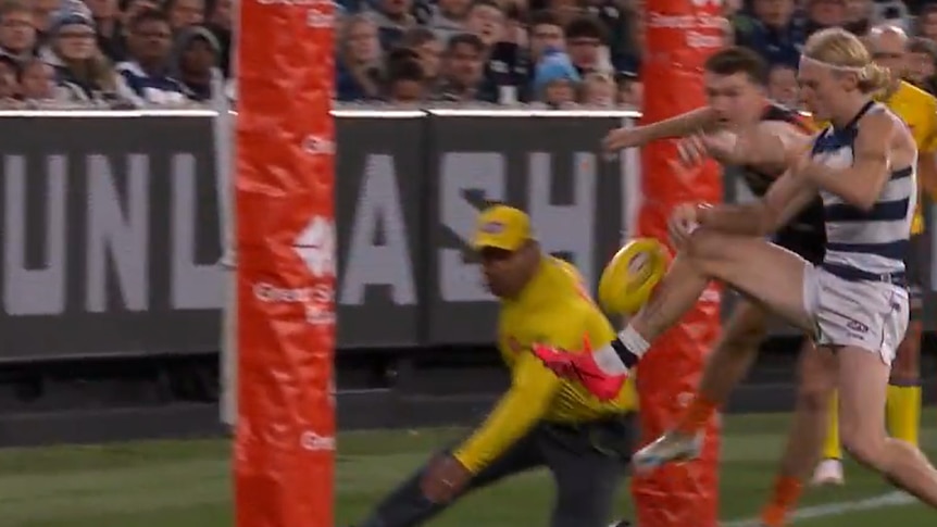 AFL concedes umpire error as Cats lament 'howler' call