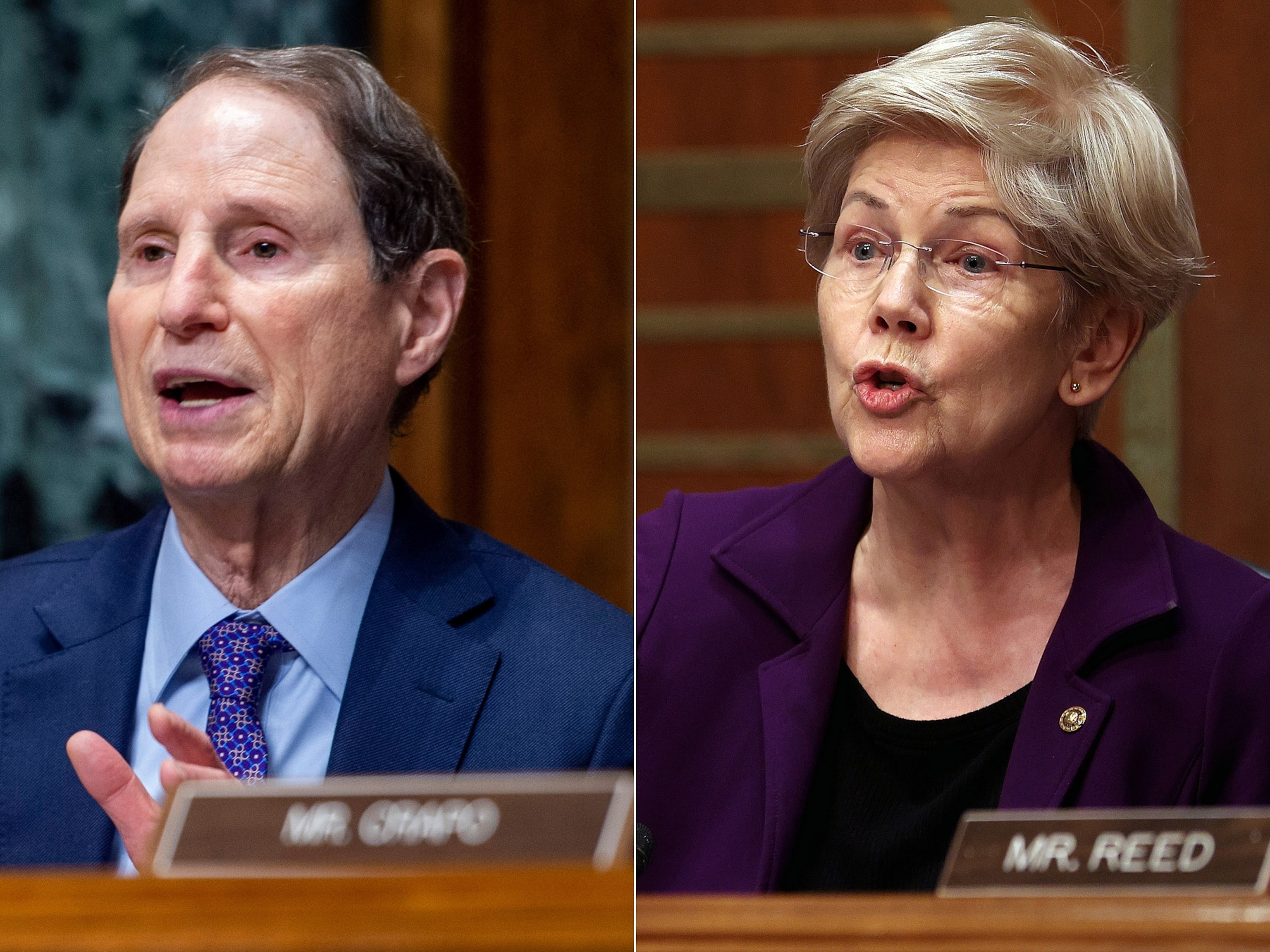 PHOTO: Sen. Ron Wyden speaks at a Senate Finance Committee hearing on Oct. 19, 2021, in Washington, D.C. | Senate Committee on Banking, Housing, and Urban Affairs Member Sen. Elizabeth Warren speaks during a hearing on Feb. 5, 2026, in Washington, D.C. 