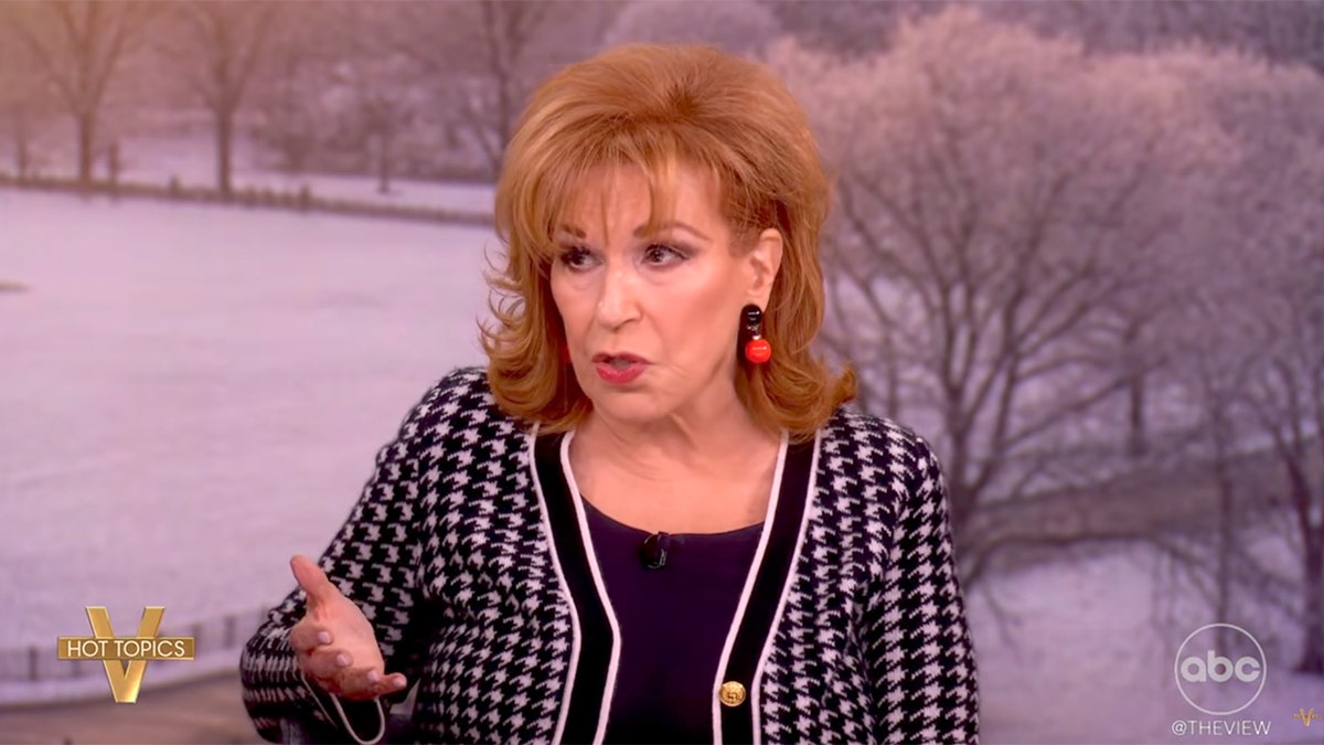 Joy Behar announces brief hiatus from 'The View'