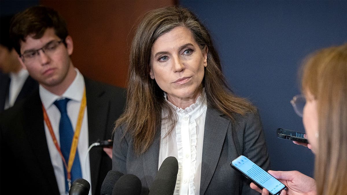Omar confronted on camera over GOP proposal targeting foreign-born lawmakers: ‘Good luck to her’