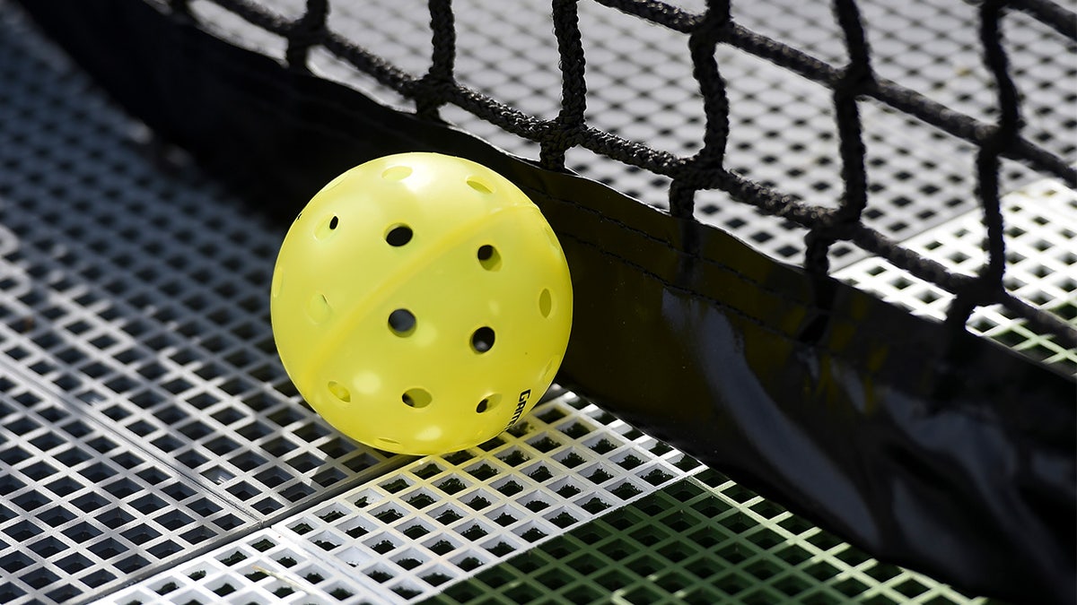 A pickleball resting on a court next to the net