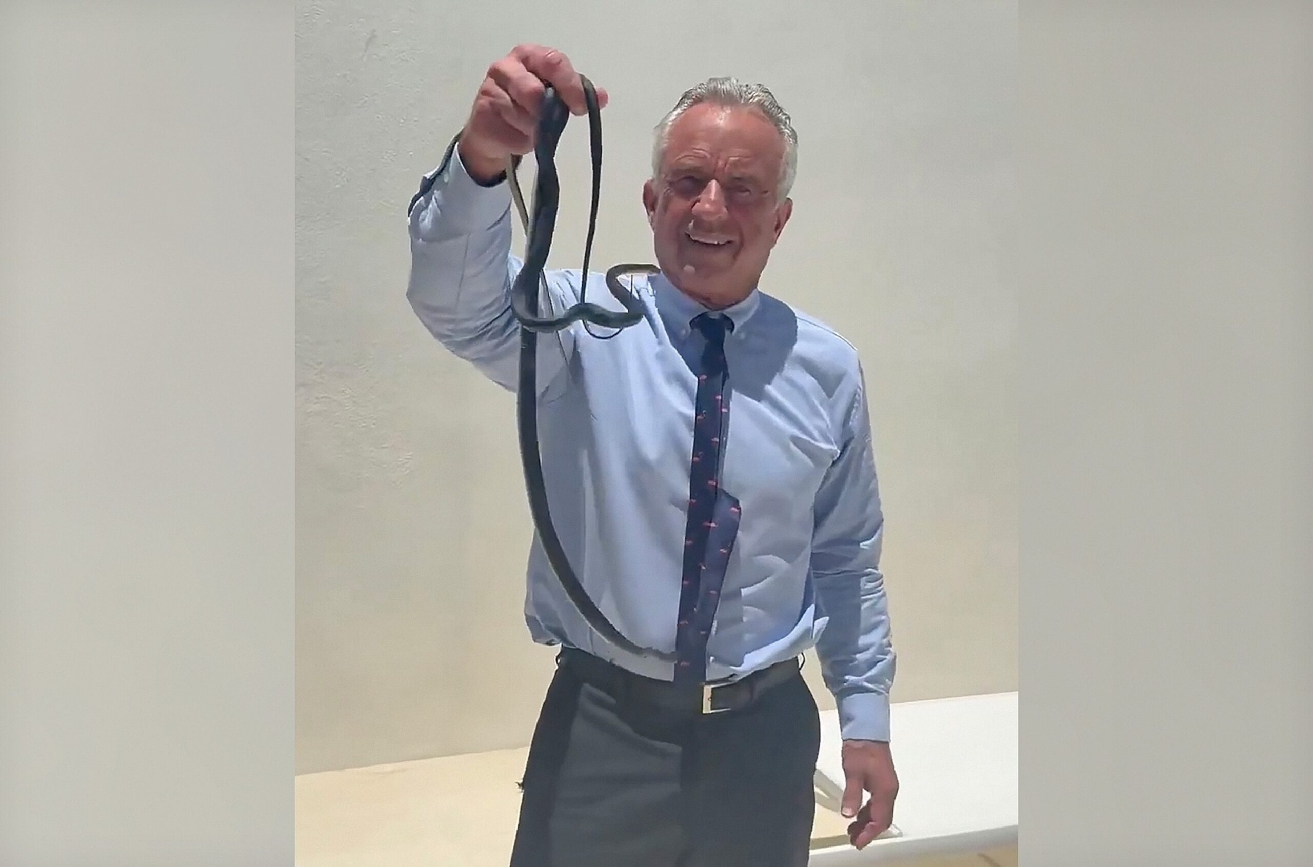 Robert F. Kennedy Jr. captures pair of snakes in viral video