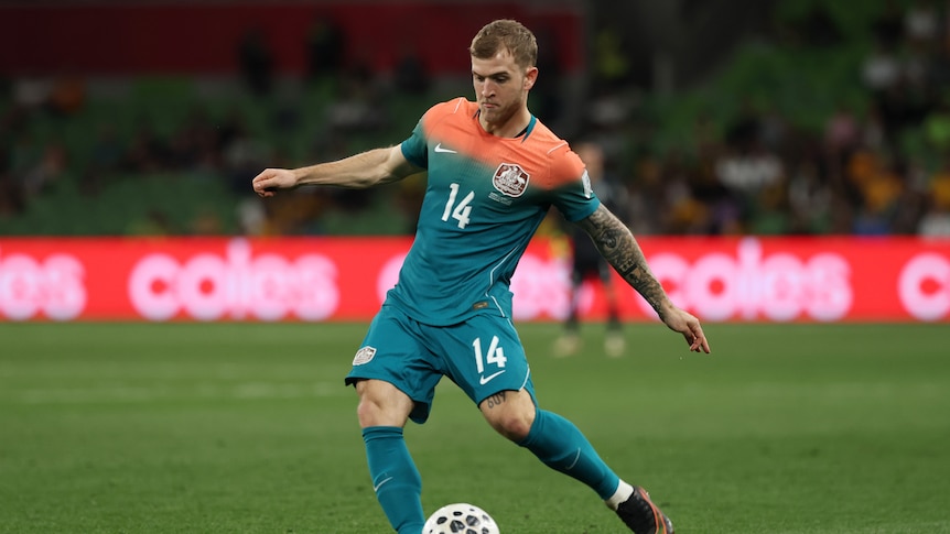 Socceroos dealt World Cup injury blow with star midfielder ruled out