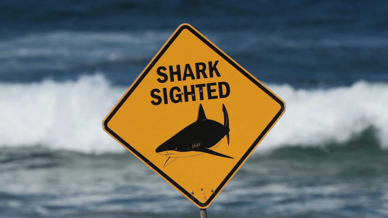 Spearfisher mauled in Australia's second fatal shark attack in a week